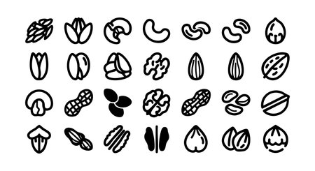 Set of different nut and seed icons in black outline style includes almonds peanuts cashew pistachios and more perfect for food related design projects friendlyのイラスト素材