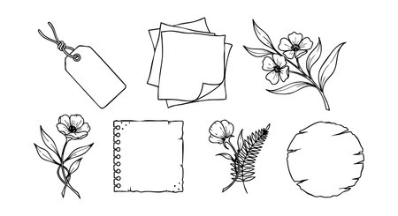 This vector illustration shows various hand drawn vintage style floral leaves and paper notes in black and white line art for creative design projects and decoration. Artistic mood.のイラスト素材