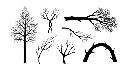 This vector image presents a collection of bare tree branches in black silhouette style. Various branch shapes are arranged isolated on white background, showing natural and organic forms. The design has a clean and minimalist mood.のイラスト素材