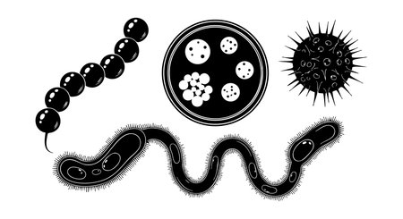 A bold vector illustration displaying different microscopic bacteria and viruses in black silhouette with detailed shapes and textures ideal for scientific or medical design projects edgyのイラスト素材