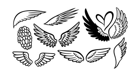 A collection of hand drawn wing illustrations with different feather styles including a heart shaped...
