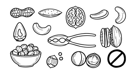 Black and white line art displays assorted nuts, seeds, and nutcracker tool arranged neatly in a clear outline style with simple decorative look.のイラスト素材