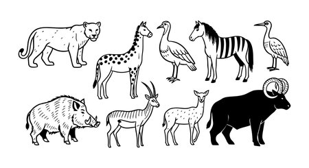 A collection of black and white line art featuring various african wild animals like giraffe, buffalo, antelope, and wild boar in a vintage drawing style.のイラスト素材