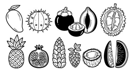 Detailed black and white vector art of various tropical fruits including whole and halved forms. perfect for educational content and food related designs with a classic hand drawn feel.のイラスト素材