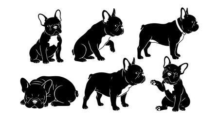 A flat vector set shows french bulldog silhouettes in varied playful poses and angles for logos stickers apparel prints editorial uses livelyのイラスト素材
