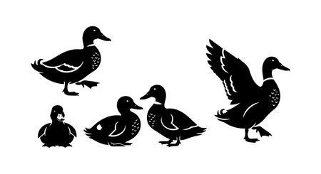 A minimalist flat vector shows a mallard duck family in black silhouettes including a flying adult a walking pair and a sitting duck for logos and iconsのイラスト素材