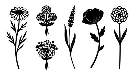 A line art vector displays seven hand drawn wildflower silhouettes with isolated transparent stems and minimalist outline style for branding and pattern design lively.のイラスト素材