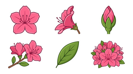 A flat design set displays six pink azalea flower icons including blossom bud branch leaf and cluster for stickers labels and floral branding vibrantのイラスト素材