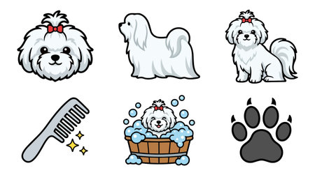 A cute maltese dog mascot in flat vector style shows head, side and sitting poses, comb, bath tub and paw icons, playful grooming and bubbly moodのイラスト素材