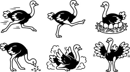 Playful line art vector set depicts ostrich actions in black and white and suggests use for logos, stickers, educational materials and playful branding.のイラスト素材
