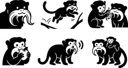 A flat vector icon collection depicts emperor tamarin monkeys performing grooming, eating, leaping, calling and carrying a baby, useful for branding and childrens editorial, playful.のイラスト素材