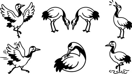 A line art vector set depicts six stylized cranes in various poses, including dancing, feeding, preening and calling, suited for logos and stickers, elegant.のイラスト素材