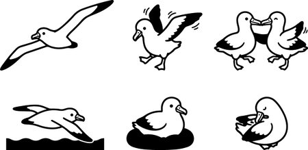 A minimalist line art vector set depicts six gull poses including flight, landing, swimming, nesting, preening and affectionate pair interaction, suited for icons, logos, and educational graphics.のイラスト素材