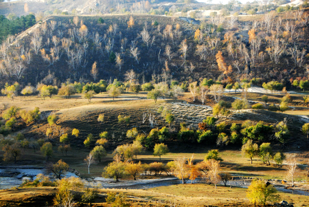 Autumn in Bashang Plateau