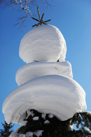 Snow Towerの写真素材