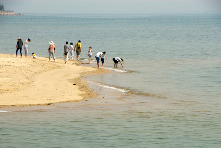 group of tourist at the beachのeditorial素材