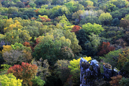 Colorfulの写真素材