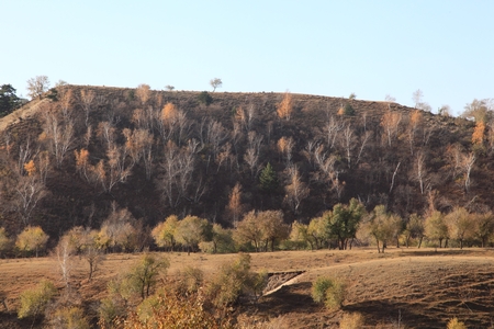 Landscape view of a grassland in Inner Mongolia during autumn