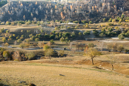 Landscape view of a grassland in Inner Mongolia during autumnの写真素材