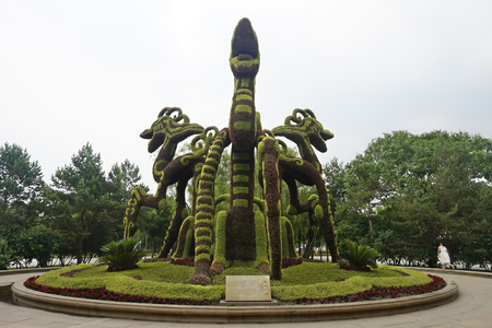 Sun Island sitting Dragon parkの写真素材