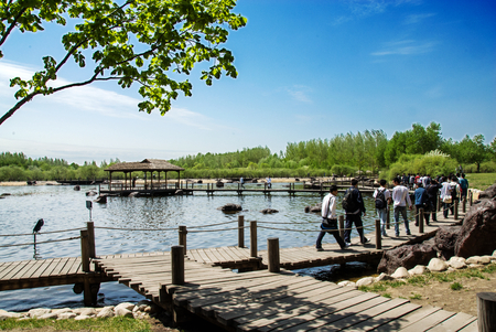 Tourist at Sun Islandのeditorial素材