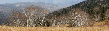 Fenghuang Mountain 
autumn sceneryの写真素材