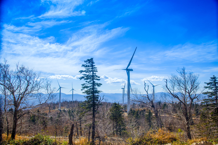 Wave wind powerのeditorial素材