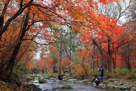 The autumn stream riverのeditorial素材
