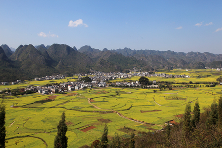 Peak forestの写真素材