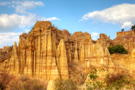 Yuanmou forestの写真素材