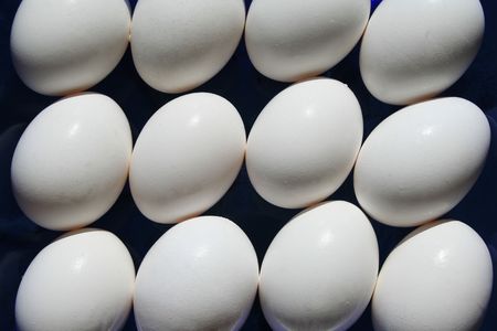 Chicken Eggs