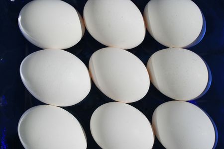 Chicken Eggs