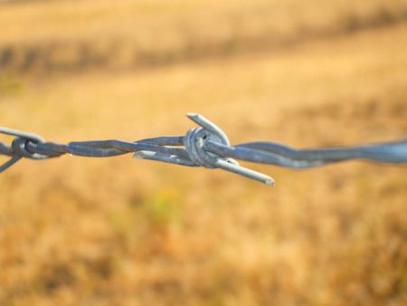 Barbed Wire