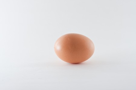 a chicken egg with a white backgroundの写真素材