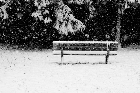 A bench in the snow stormの写真素材