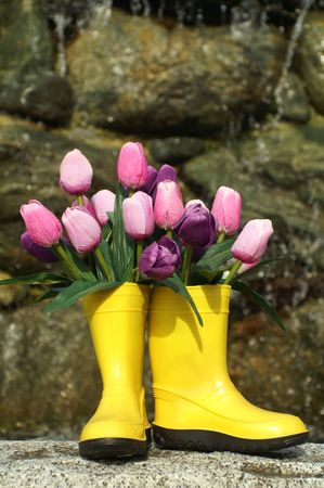 TULIPS IN THE YELLOW BOOTSの写真素材