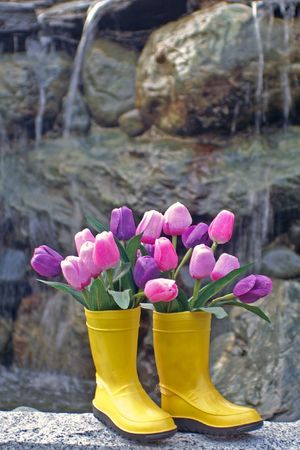 YELLOW RUBBER BOOTS IN FRONT OF WATERFALLの写真素材