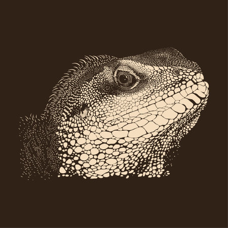 Iguana sketch illustration drawing vector animalのイラスト素材