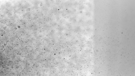 Dust and scratches texture background PNG transparent. Opacity or screen mode usage for overlay