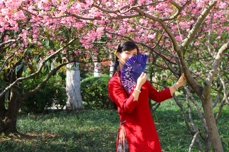 Woman standing under the peach blossom treesの写真素材