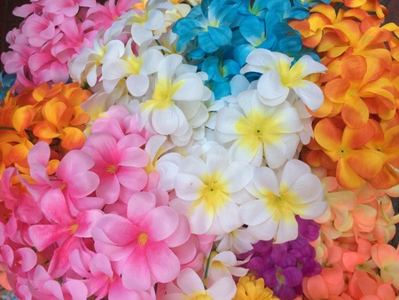 Colorful flowers,colorful backgroundの素材