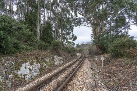 Rural landscape with train tracks crossing a vegetation area, in Oriente region, Asturias, Spain.の写真素材