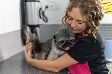 Cute image of a female veterinarian hugging an adorable Shih Tzu breed dogの写真素材