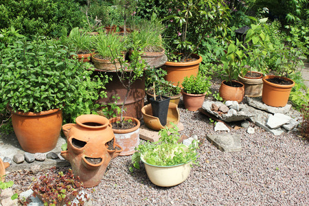 Pots and plants in different shapes and forms in a beautiful corner of a dazzling and prosperous garden. の写真素材