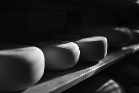 Cheese laying on a shelf, riping.の写真素材