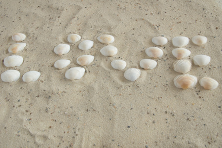 Sea shells forming the word loveの写真素材
