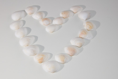 Heart from sea shells on a white background Positioned in the middle.の写真素材