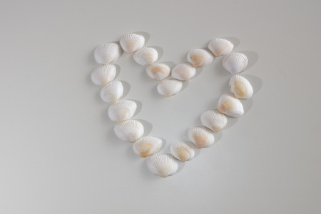 Heart from sea shells on a white background Positioned in the middle.の写真素材