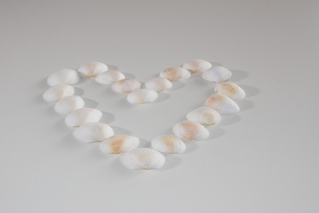 Heart from sea shells on a white background Positioned in the middle.の写真素材