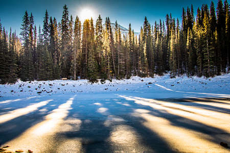 Landscape with winter forest and bright sunbeams. Sunrise, sunset in cold snowy forest